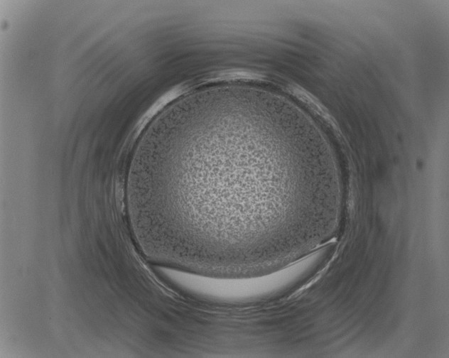 X0000084031321200703022112