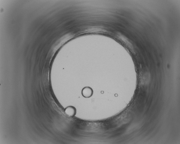 X0000084031322200703022112