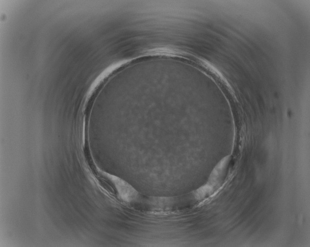 X0000084031323200703022112