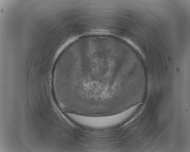 X0000084031325200703022112