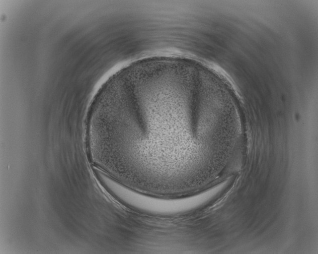 X0000084031326200703022112