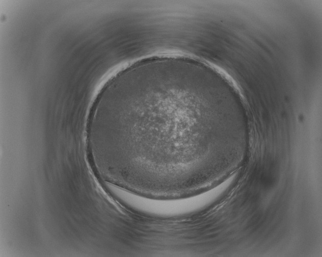 X0000084031327200703022112