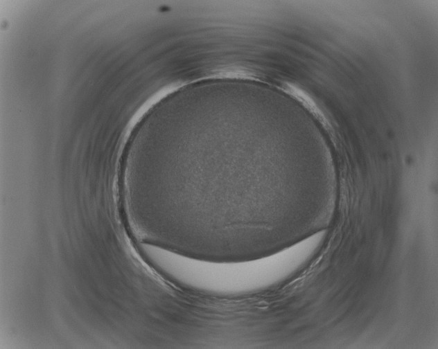 X0000084031331200703022113