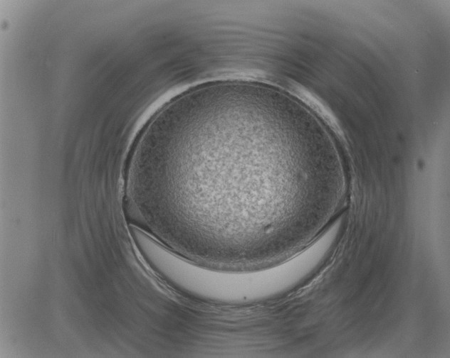 X0000084031332200703022113