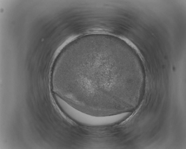 X0000084031333200703022113