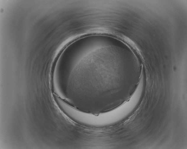 X0000084031334200703022113