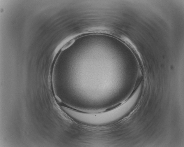 X0000084031336200703022113