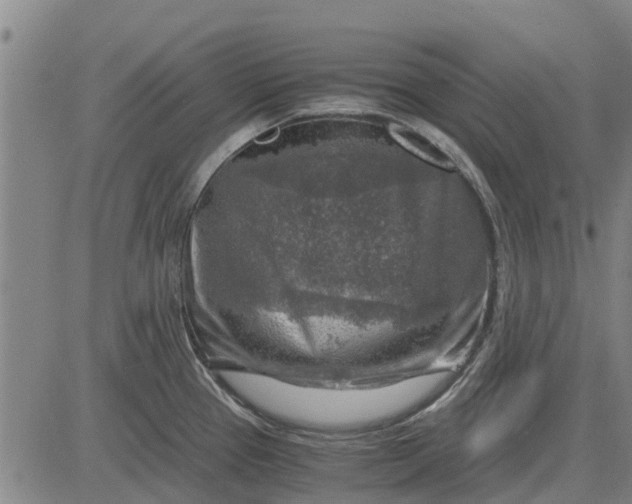 X0000084031337200703022113