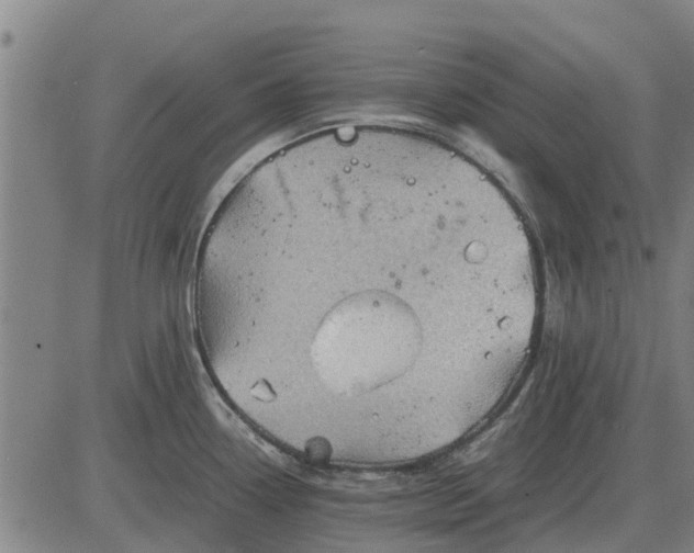 X0000084031338200703022113