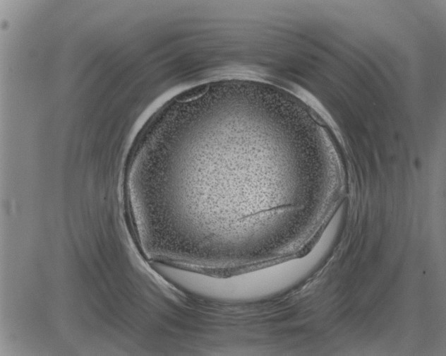 X0000084031339200703022113