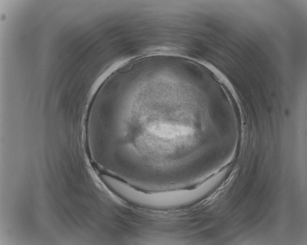 X0000084031341200703022113