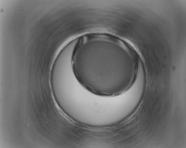 X0000084031342200703022113