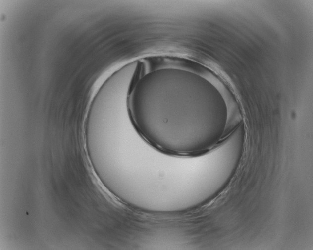 X0000084031344200703022113