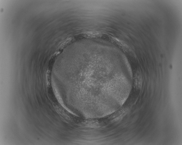 X0000084031346200703022112