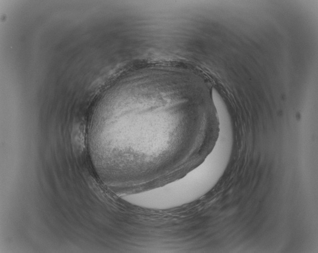 X0000084031348200703022112