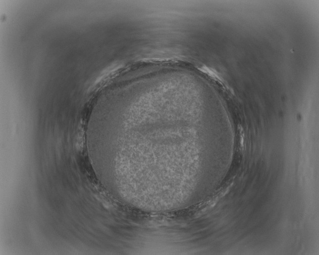 X0000084031350200703022112