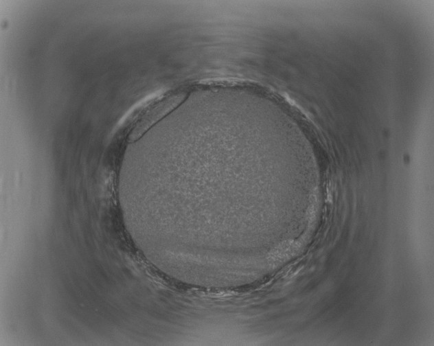 X0000084031351200703022112