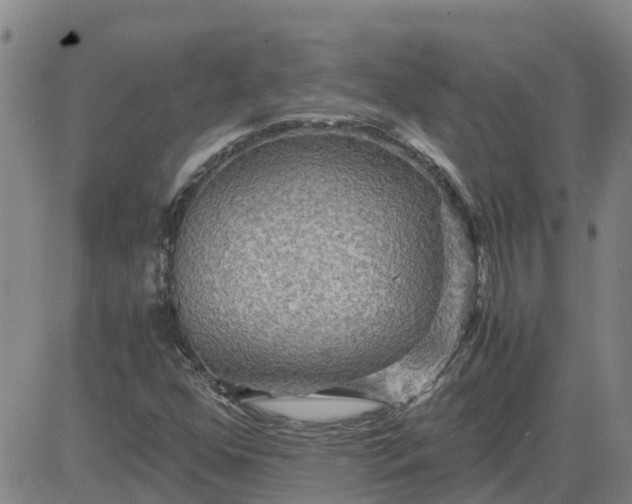 X0000084031352200703022112