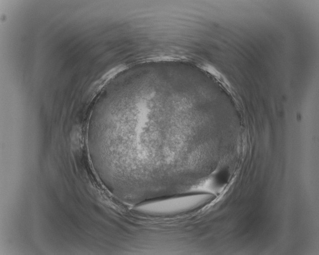 X0000084031353200703022112