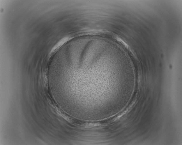 X0000084031354200703022112