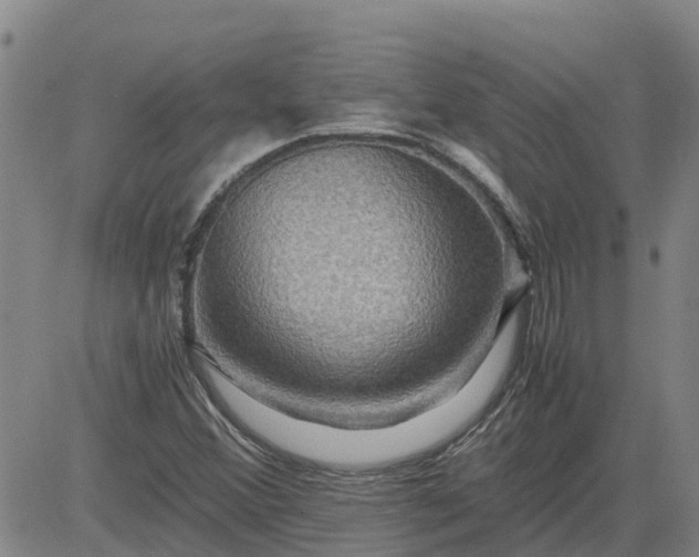 X0000084031356200703022112