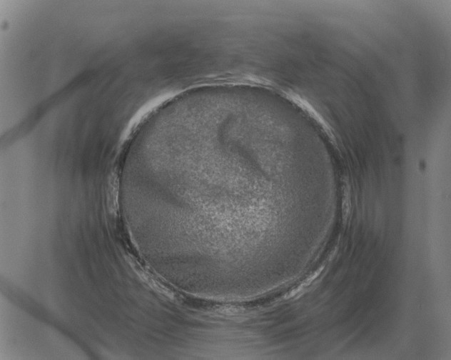 X0000084031358200703022112