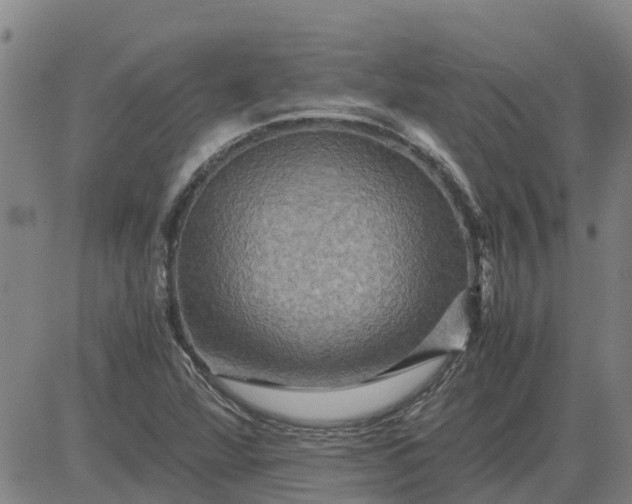 X0000084031360200703022112