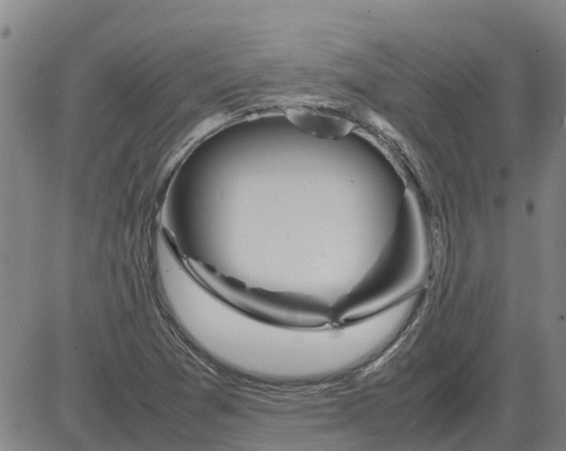 X0000084031361200703022112