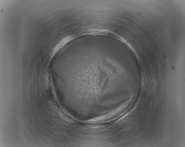 X0000084031362200703022112