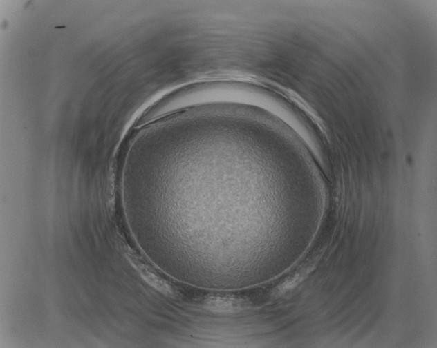 X0000084031364200703022112