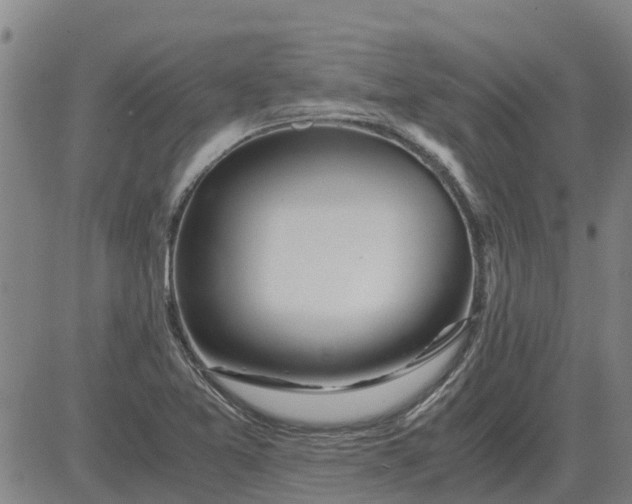 X0000084031365200703022112