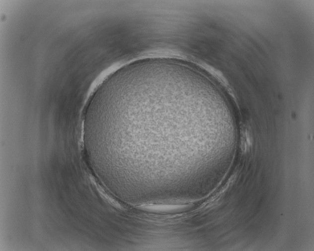 X0000084031366200703022112