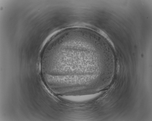 X0000084031368200703022112