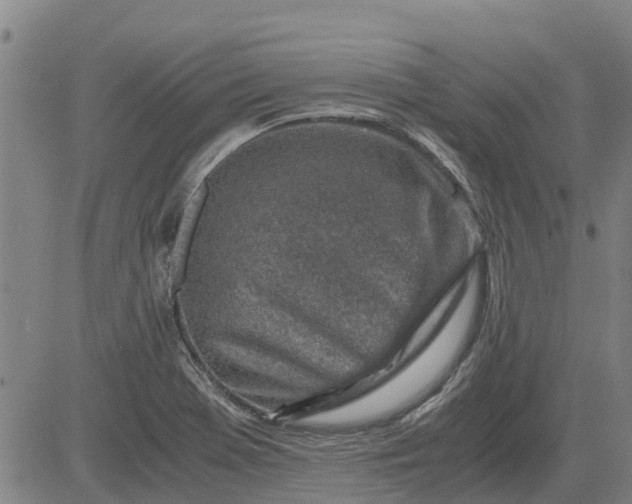 X0000084031369200703022112