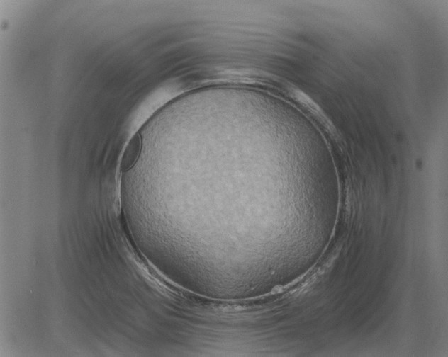 X0000084031370200703022112