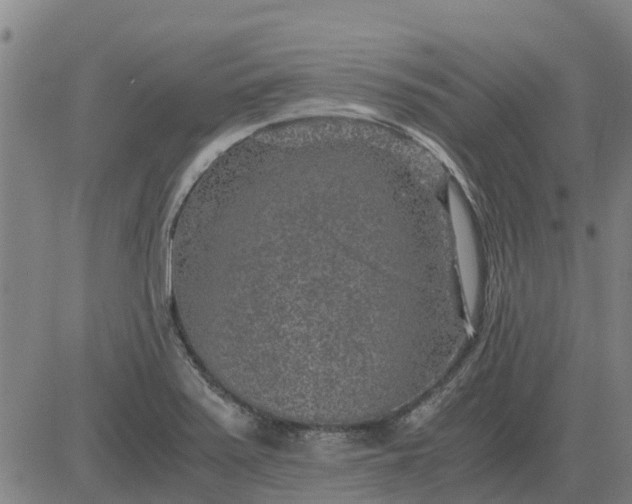 X0000084031371200703022111