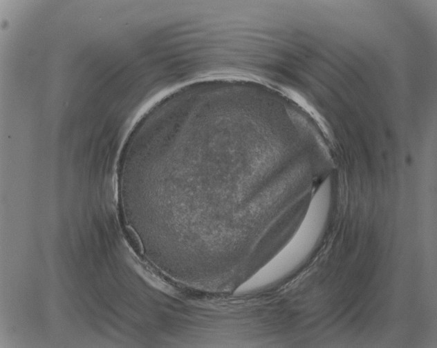 X0000084031372200703022111