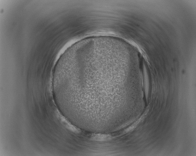 X0000084031374200703022111