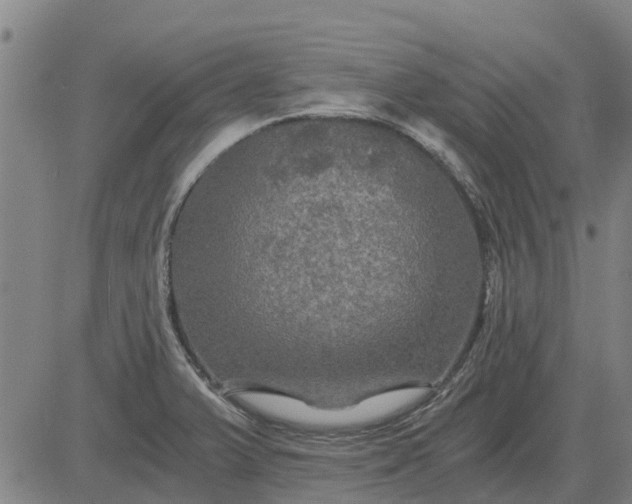 X0000084031375200703022111