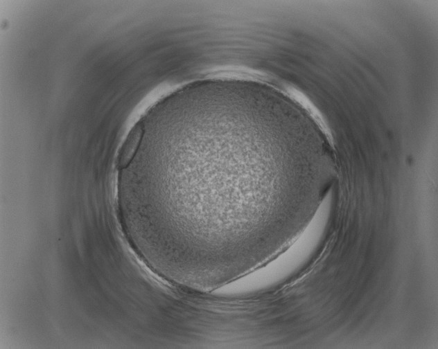 X0000084031376200703022111