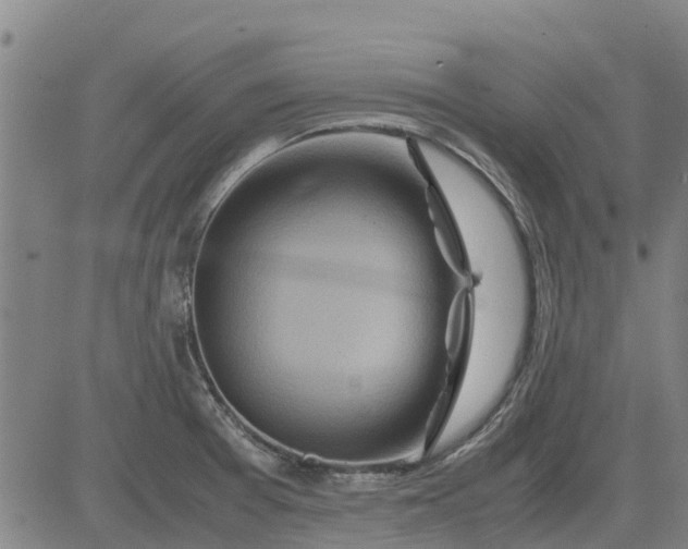 X0000084031377200703022111