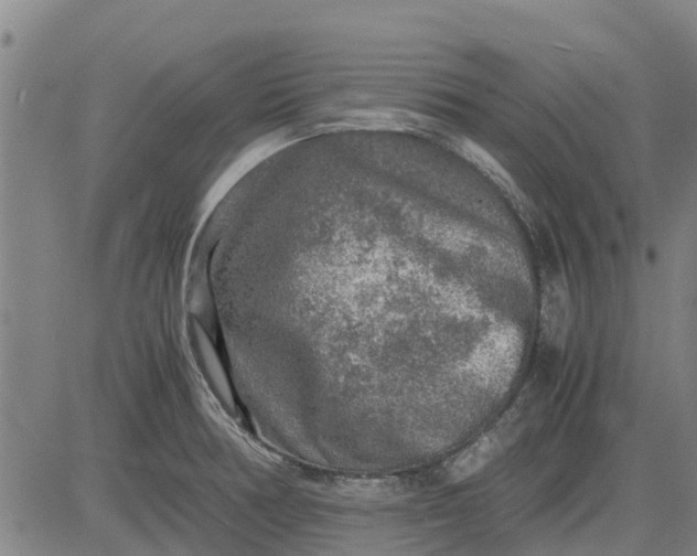 X0000084031378200703022111