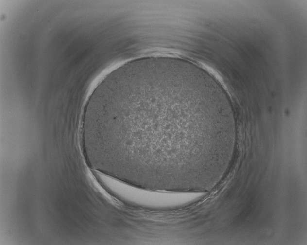 X0000084031379200703022111