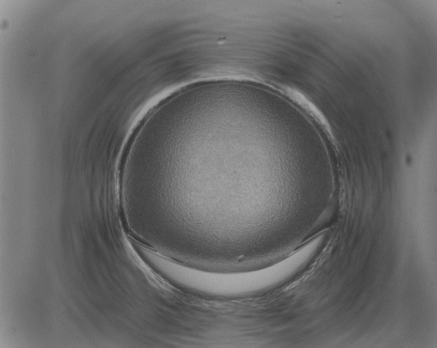 X0000084031380200703022111