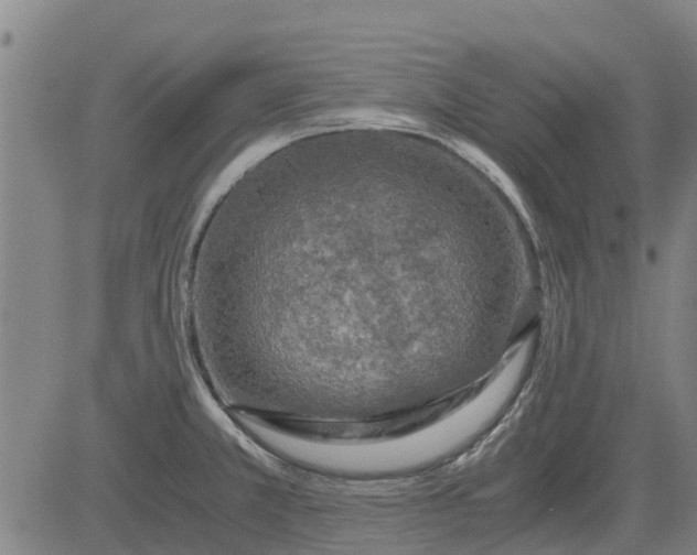 X0000084031381200703022111