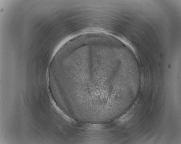 X0000084031382200703022111