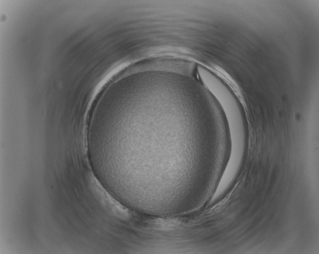 X0000084031384200703022111