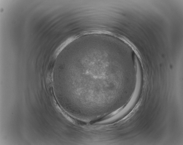 X0000084031385200703022111