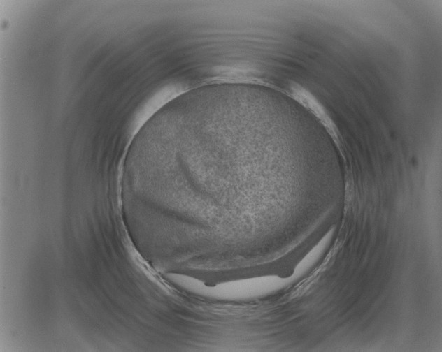 X0000084031386200703022111