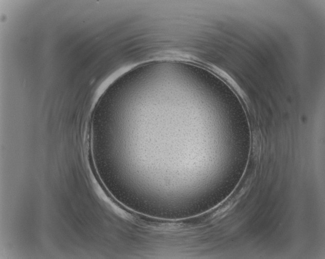 X0000084031387200703022111